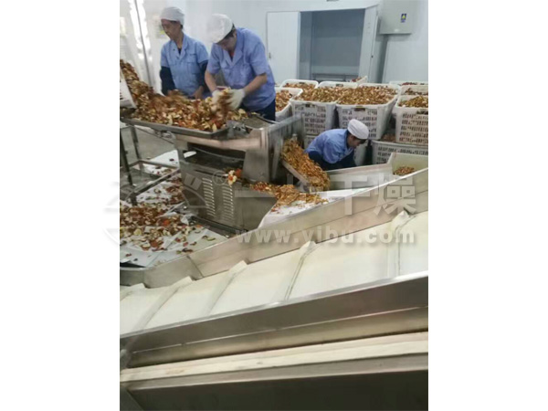 DW系列带式干燥机