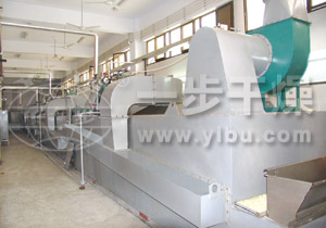 脱水蔬菜带式干燥机