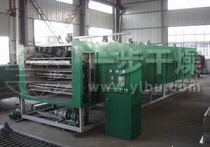 脱水蔬菜带式干燥机