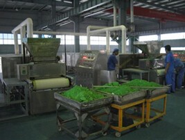 脱水蔬菜带式干燥机 脱水蔬菜带式干燥机